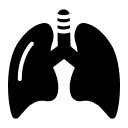 Thoracic