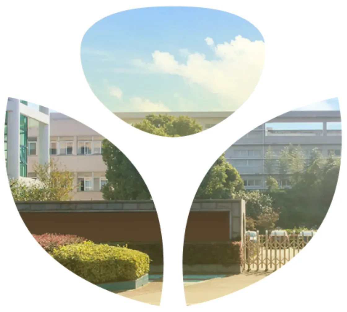 Excellence with XNY Medical